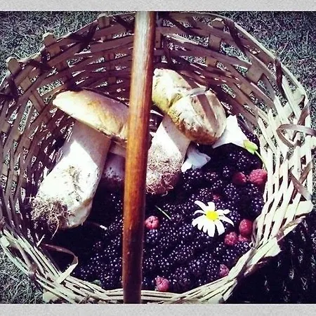 Notre Bergerie 4* La Chaise-Dieu