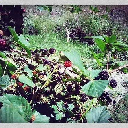 Notre Bergerie La Chaise-Dieu