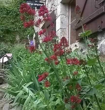 Bed & Breakfast Notre Bergerie 4*