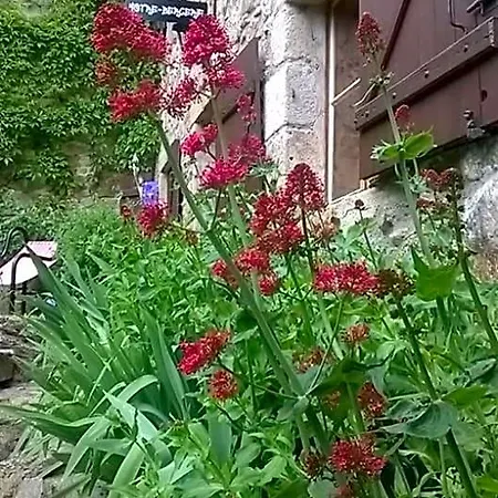 Notre Bergerie