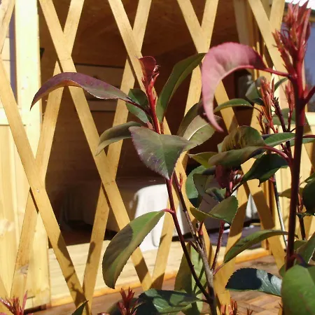 Notre Bergerie Bed & Breakfast